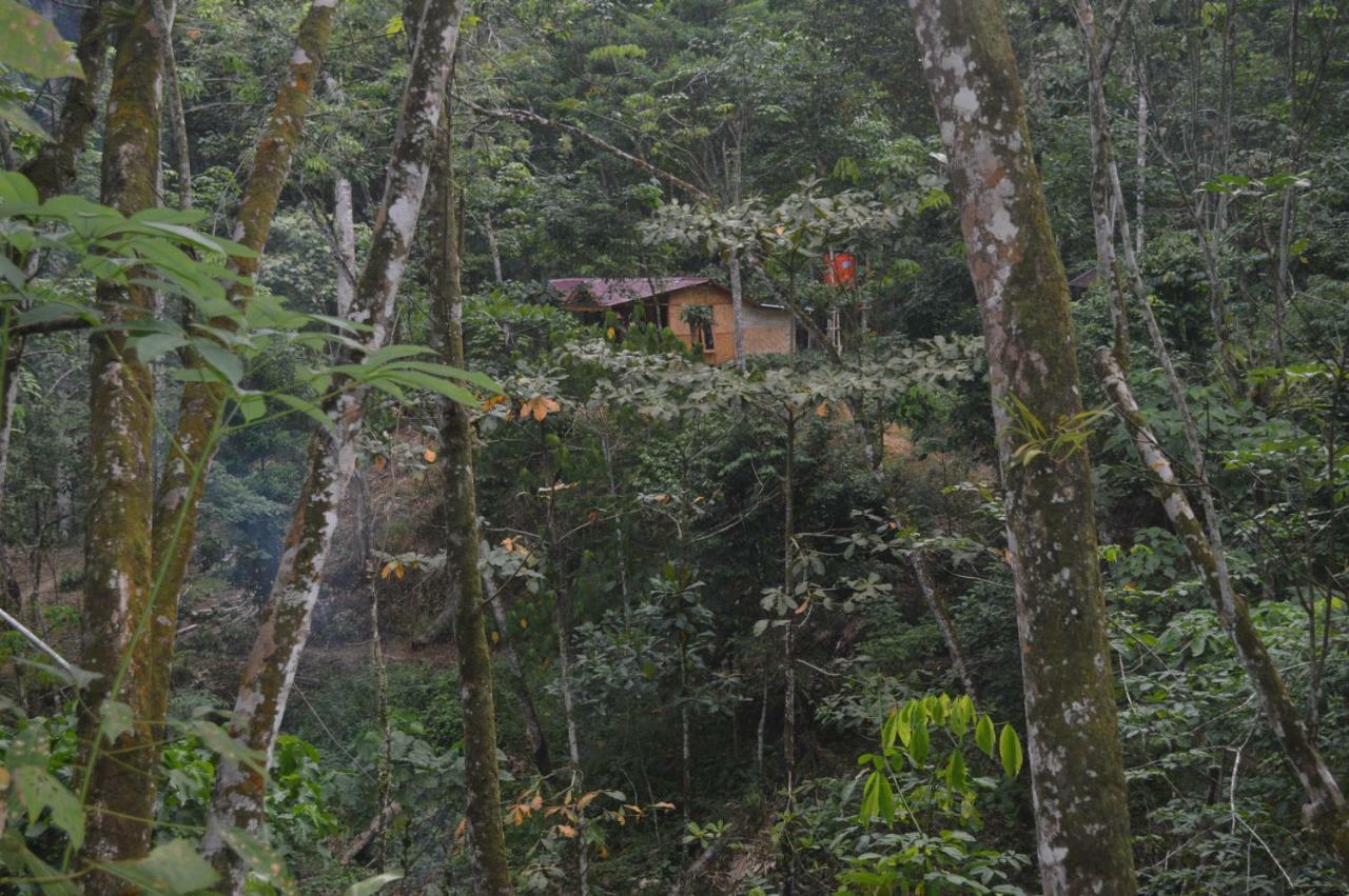 Bukit Lawang Landak River Guest House Exterior foto