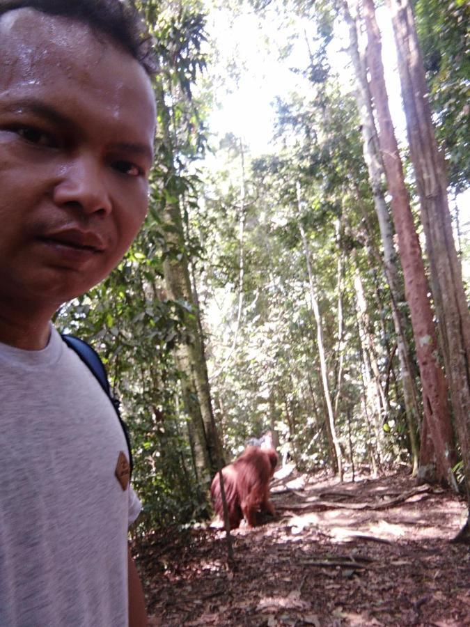 Bukit Lawang Landak River Guest House Exterior foto